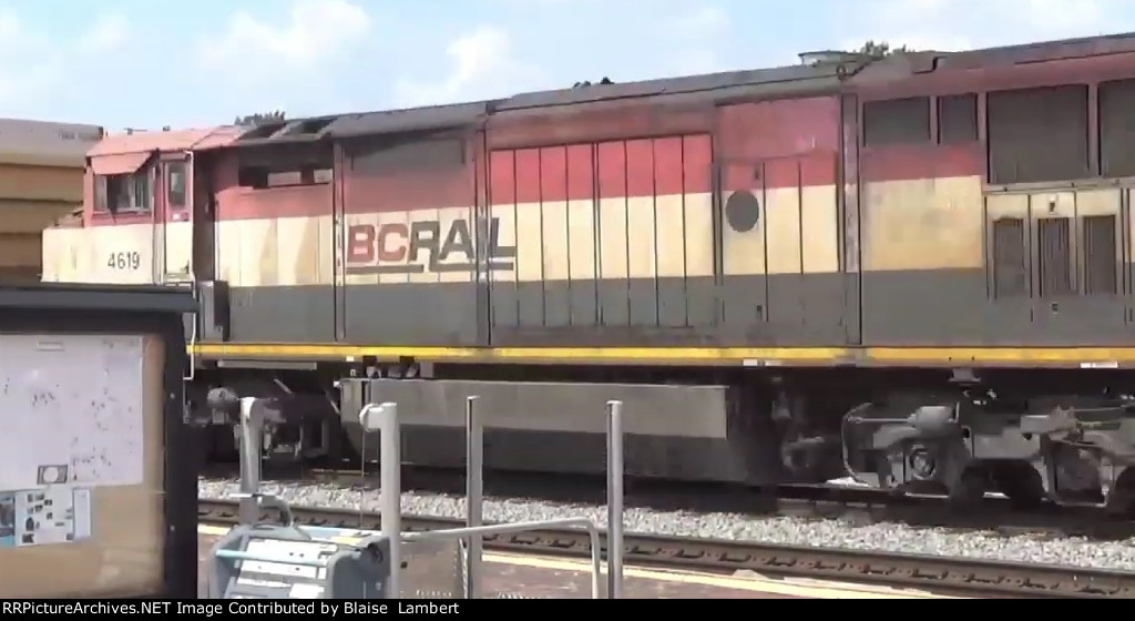 BCOL 4619
